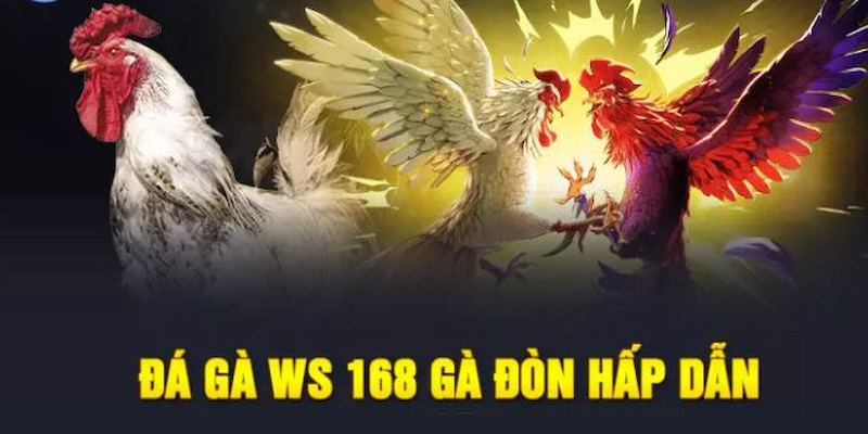 Đá Gà WS168 King88 – Đấu Trường Online Số 1